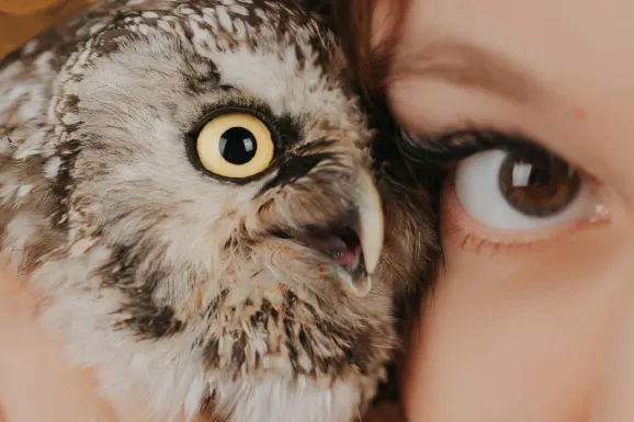 Casino Lucky Tiger Ënnerstëtzung